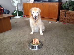 Dove's 16th Birthday